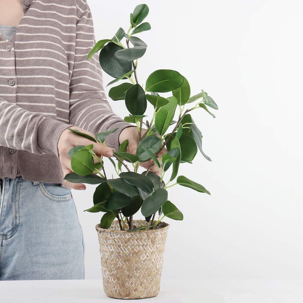 Artificial Ficus Tree Small Fake Plants in Weaved Pot 20" Height / Green
