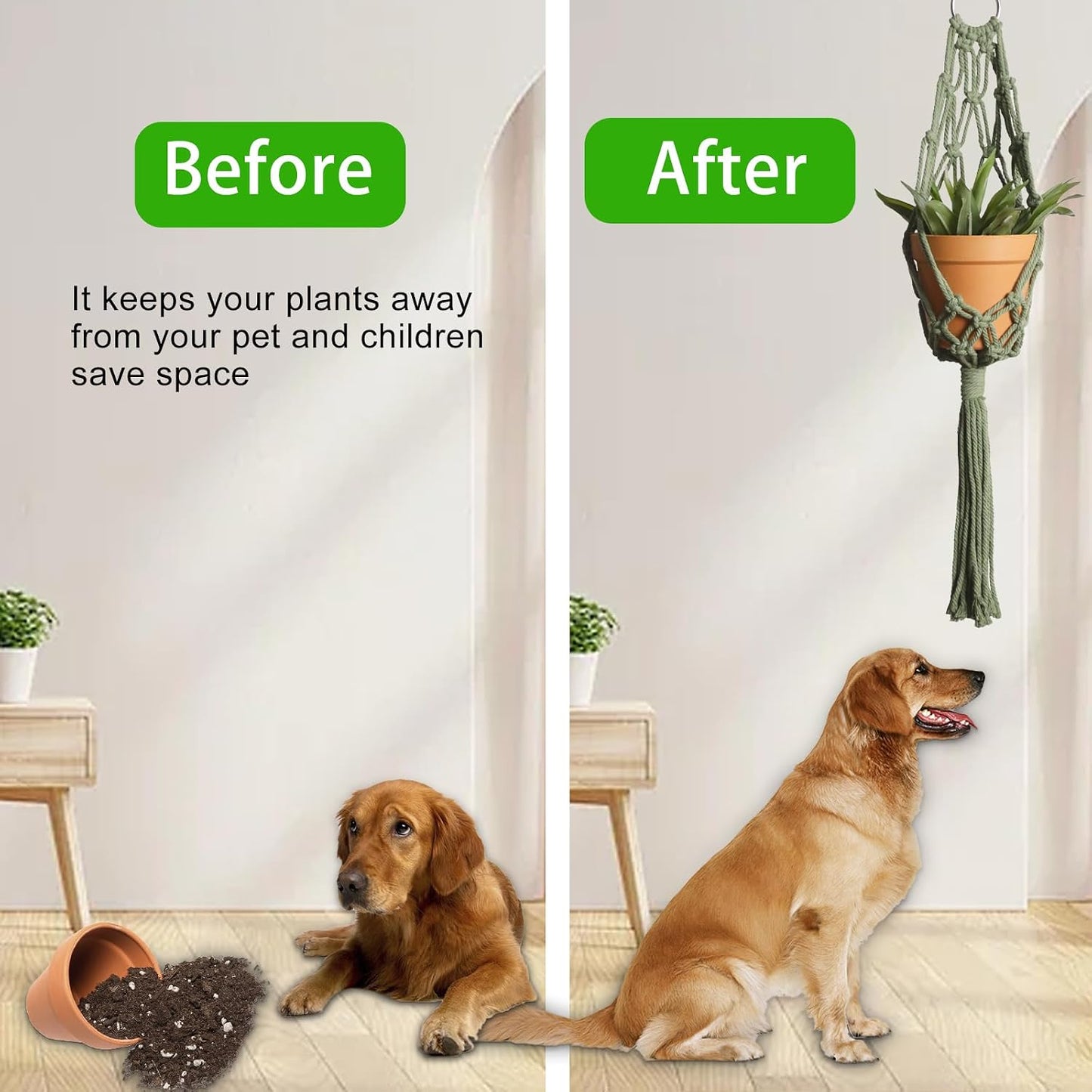 Macrame Hanging Planter / Olive Green / Set of 2