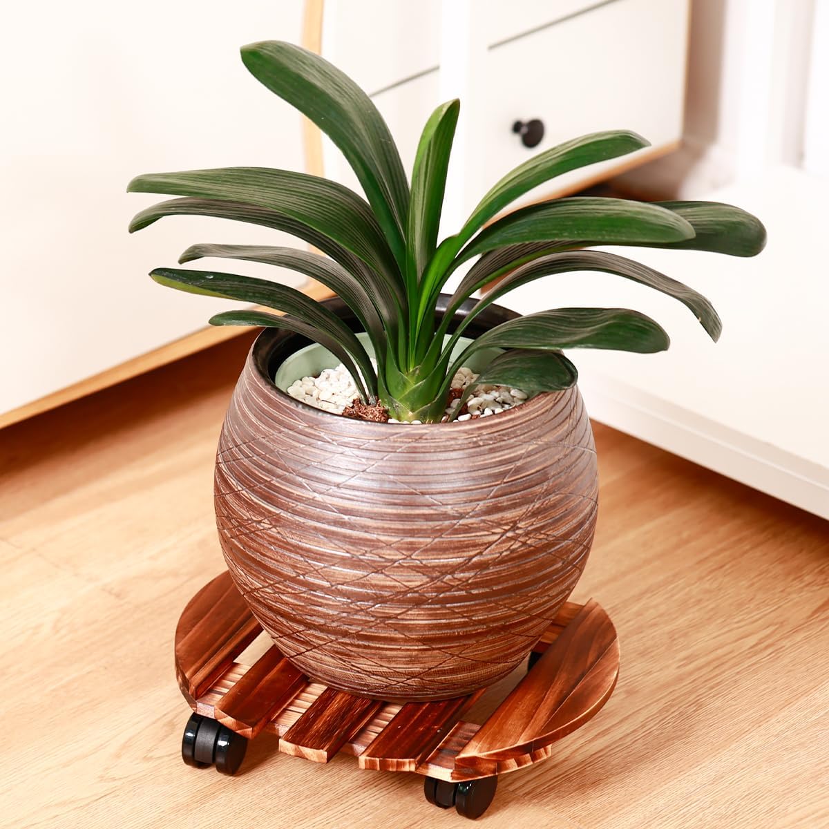 5 Pack Plant Caddy with Wheels Heavy Duty 11.8 Inch Wooden Plant Stand with Wheels Plant dolly Rolling Plant Stand