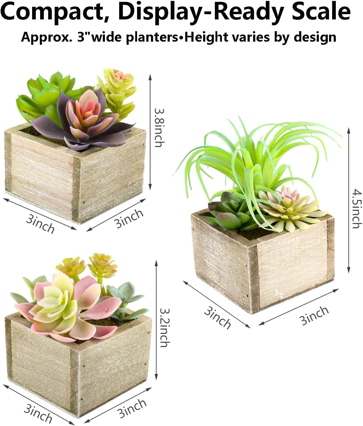 Mini Potted Greenery in Rustic Wood Planters / Organic / Set of 3
