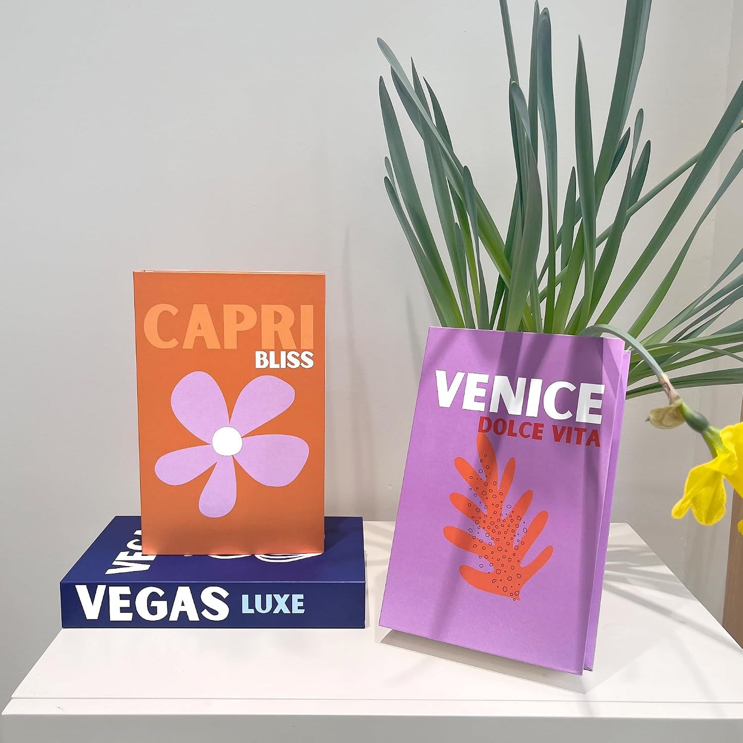 Faux Books Set Colorful Home Decor / K2 / Set of 3