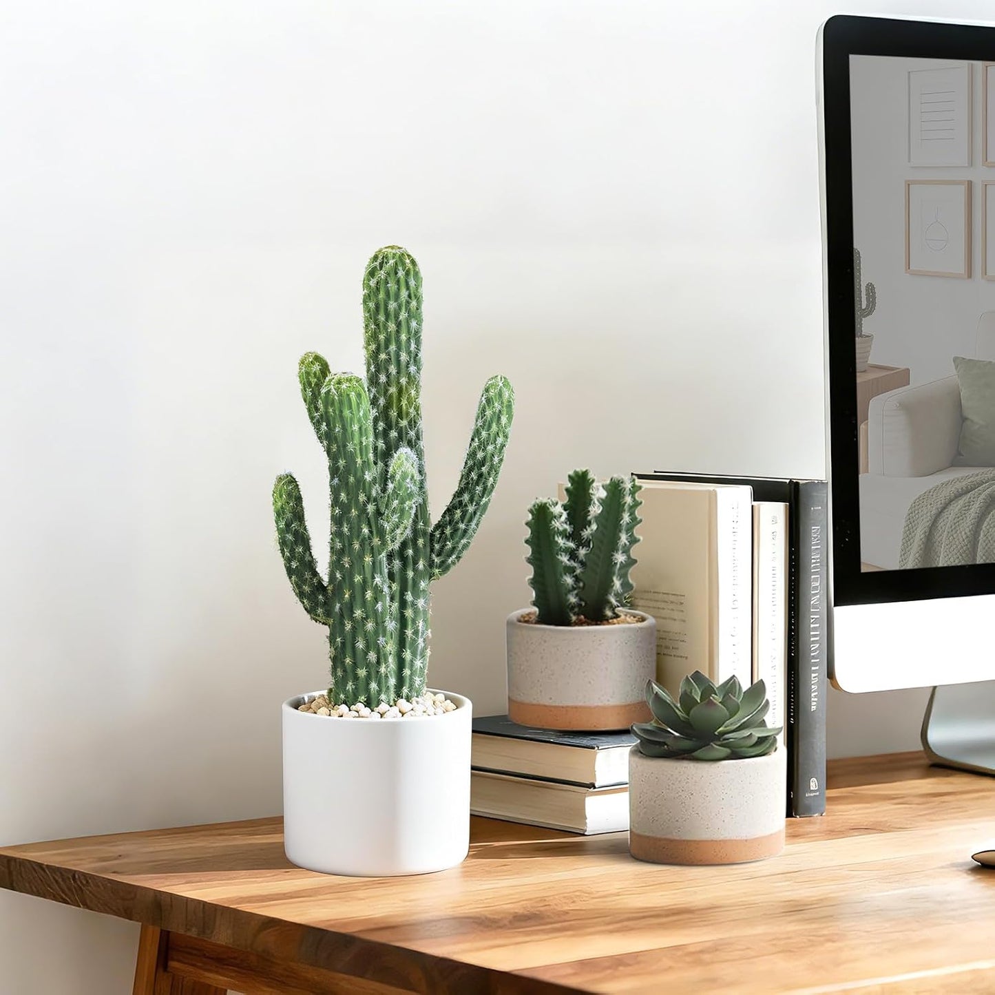 Artificial Cactus Plants / 15.35in