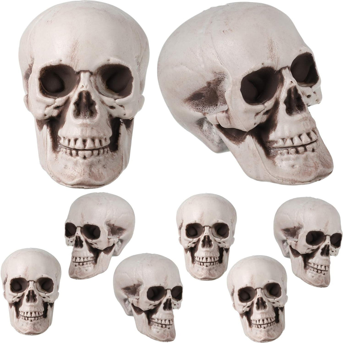 Boao 8 Pcs Halloween Skull Heads, 2.4 x 3.1 in Skeleton Skulls for Decor