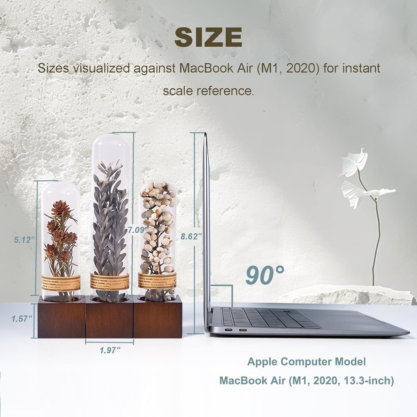 Dried Flower Decor / Minimalist Neutral Trio,3-piece Set / Natural / Set of 3