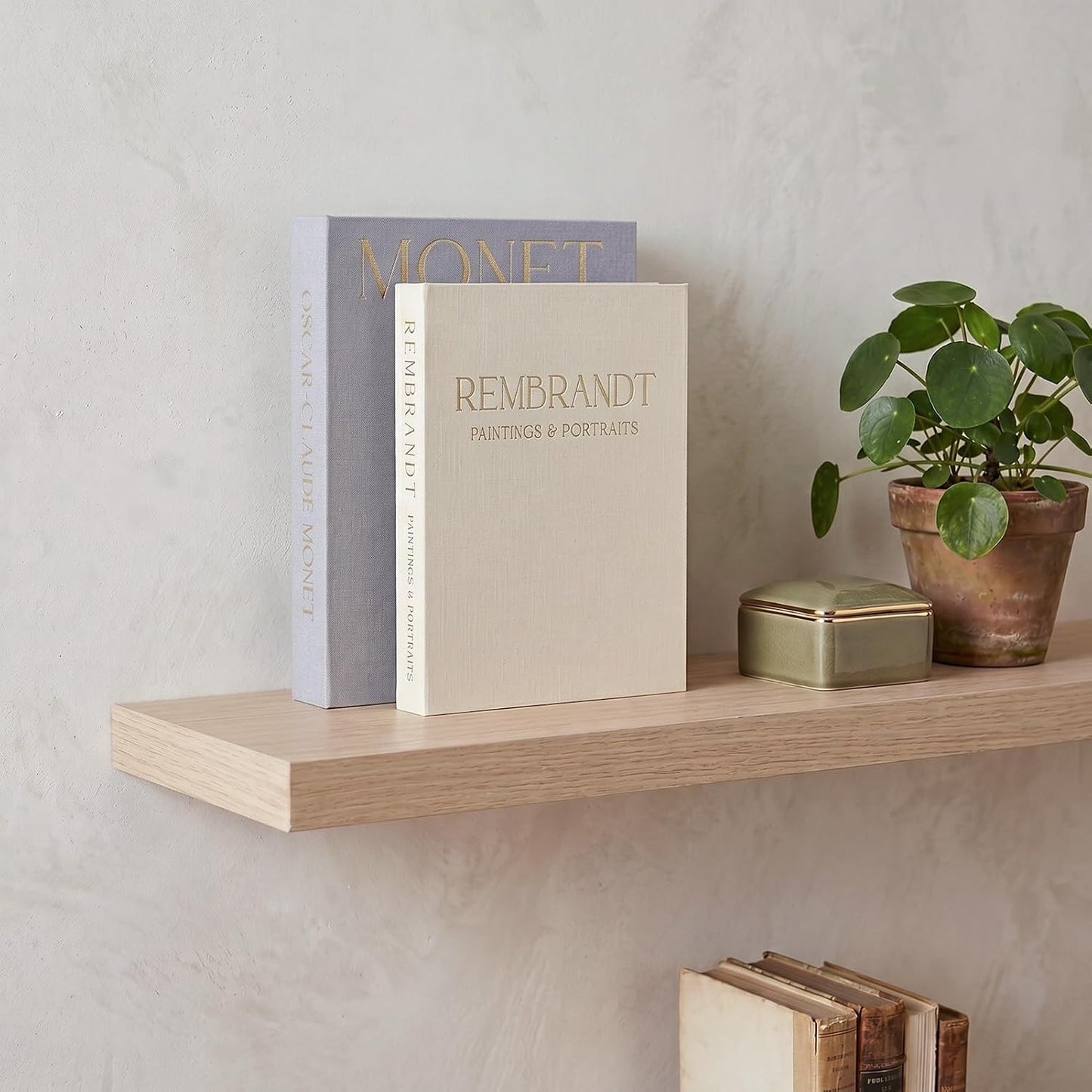 Decorative Book Set Decorative Box / Gray-beige / Set of 2