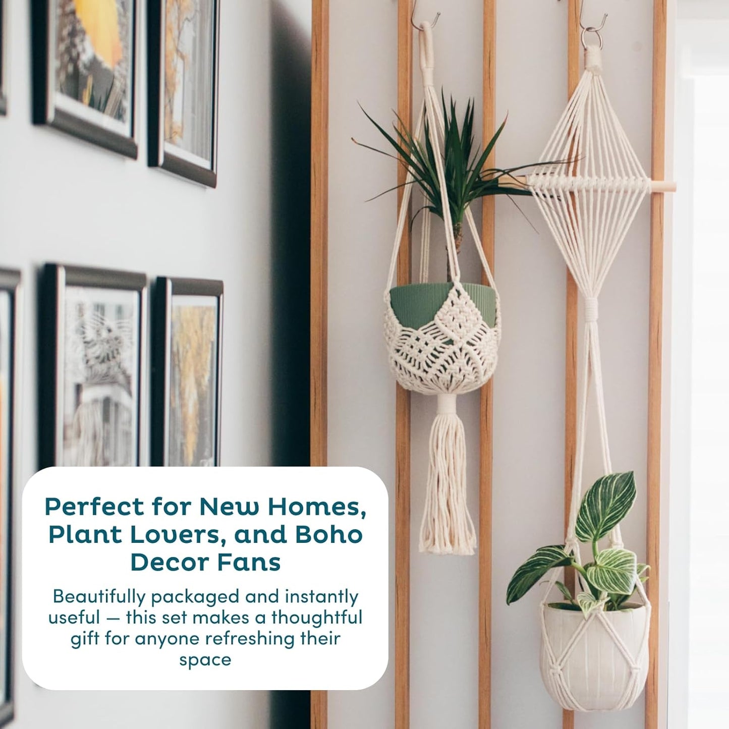 Macrame Plant Hangers / 4-pack Black / Set of 4