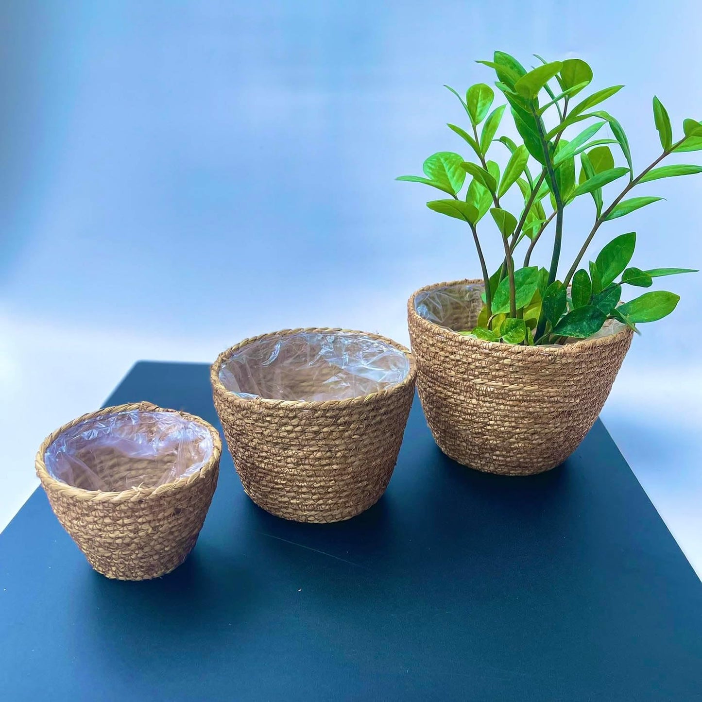 Woven Seagrass Plant Basket Without Handles / Without Handers / Natural / Set of 3