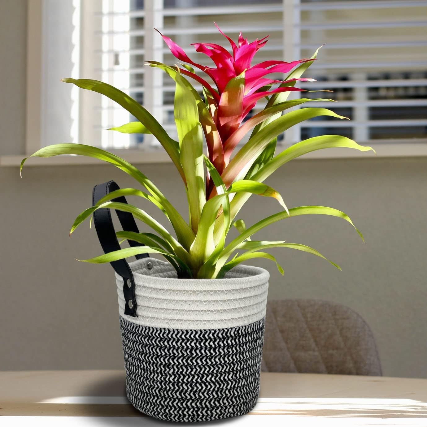 Handles Woven Organizer Storage Basket / Black and White / Set of 2
