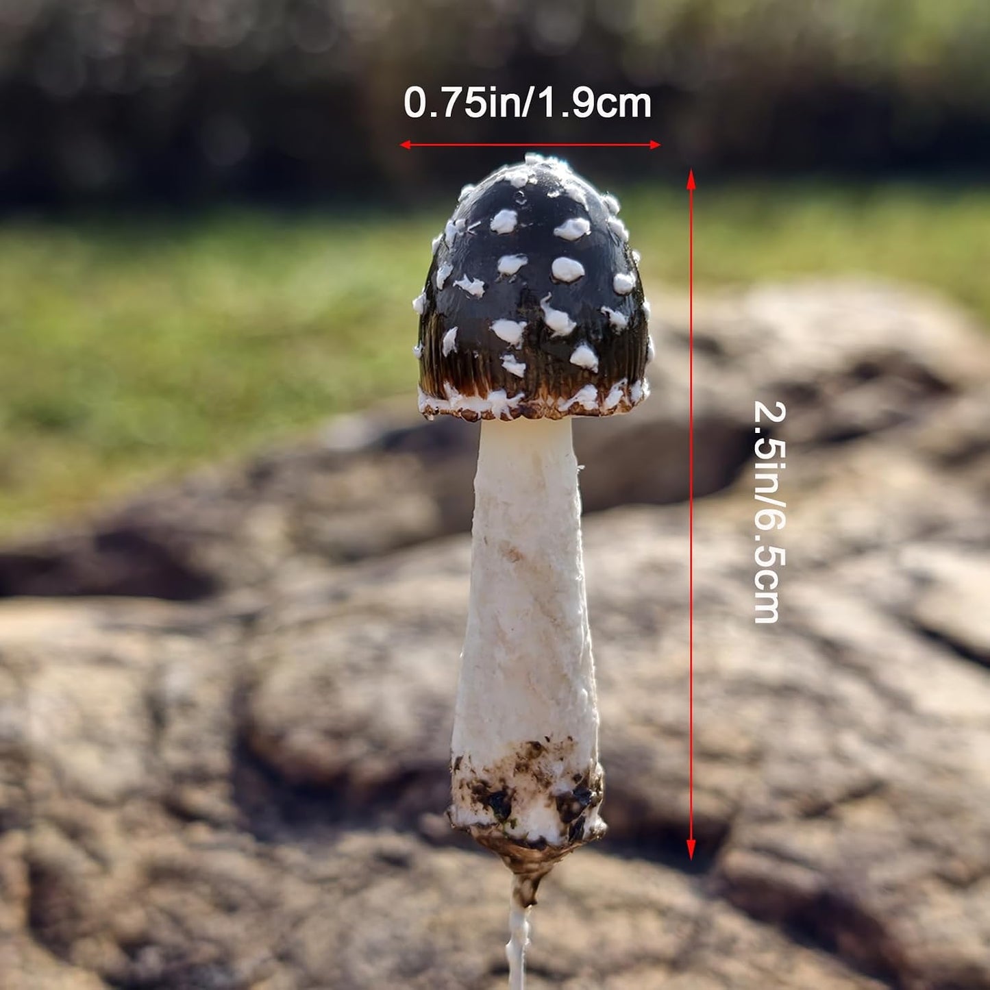 DIY Mini Mushrooms for Terrariums Potted Plant Holiday / Set of 5