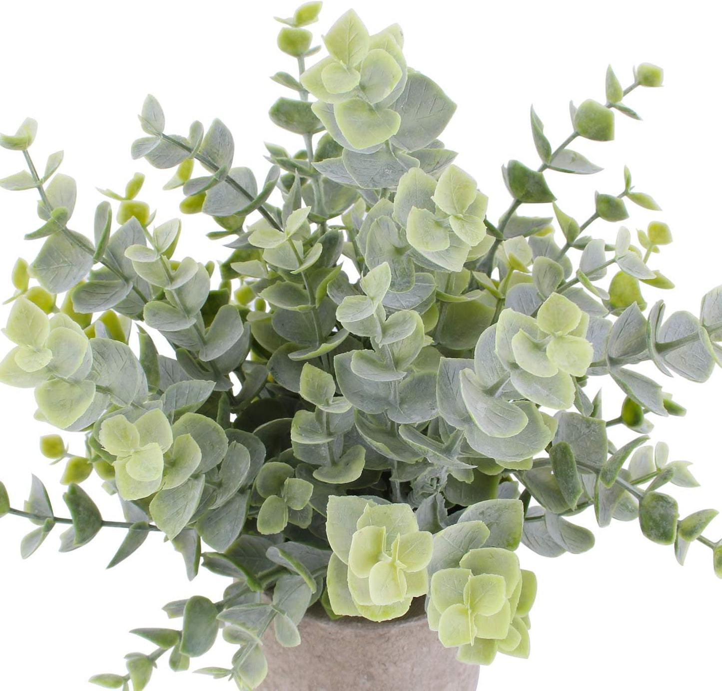 Mini Artificial Potted Plants Faux Eucalyptus Plants Boxwood Rosemary Greenery in Pots / Set of 3