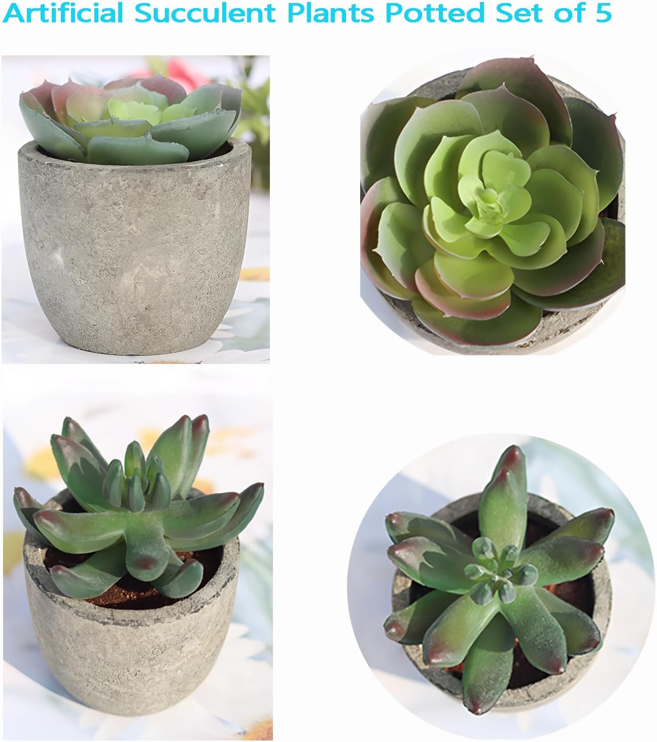 Artificial Succulent Plants in Pots / Set of 5