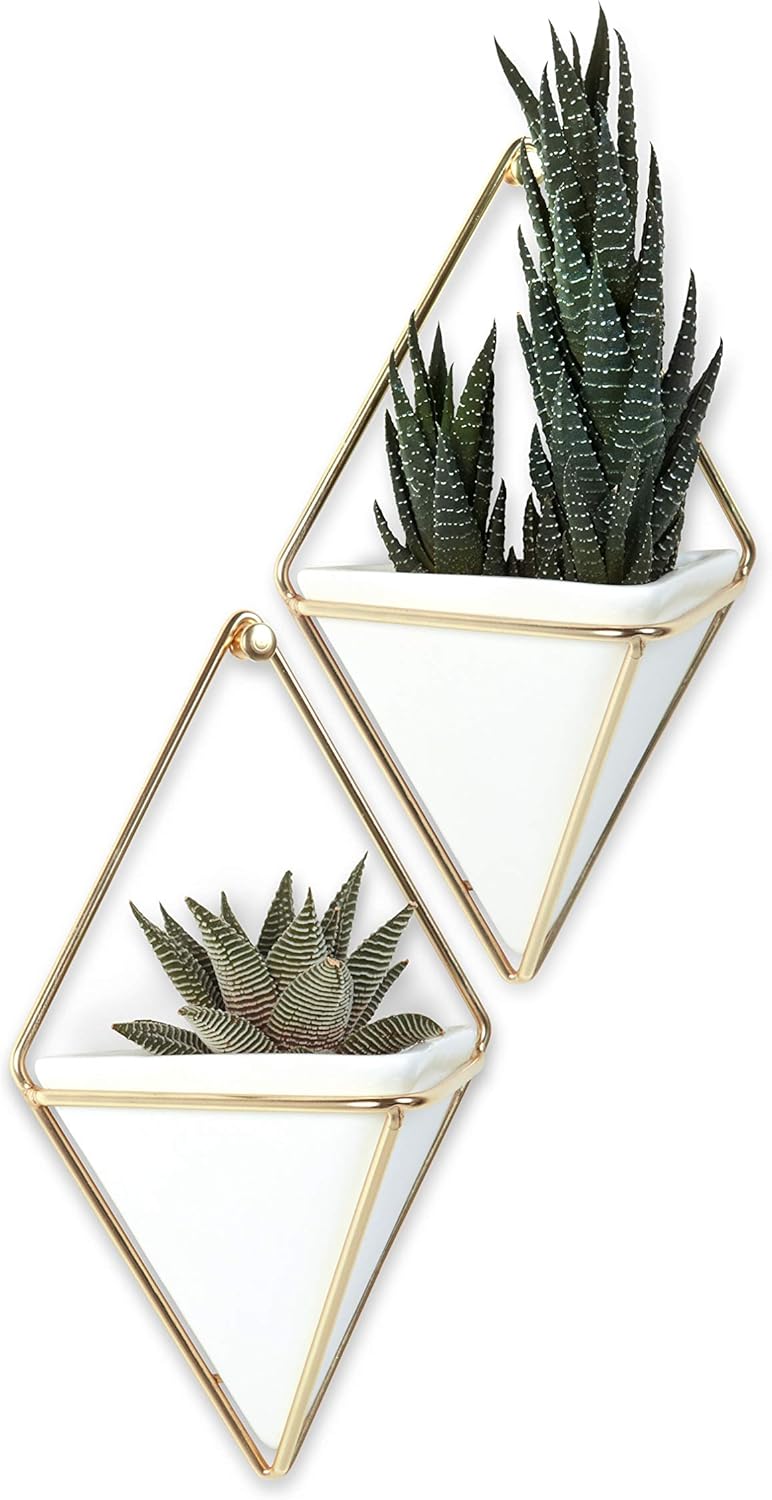 Faux Plants / Pots Containers for Succulents / White/brass / Small / Set of 2