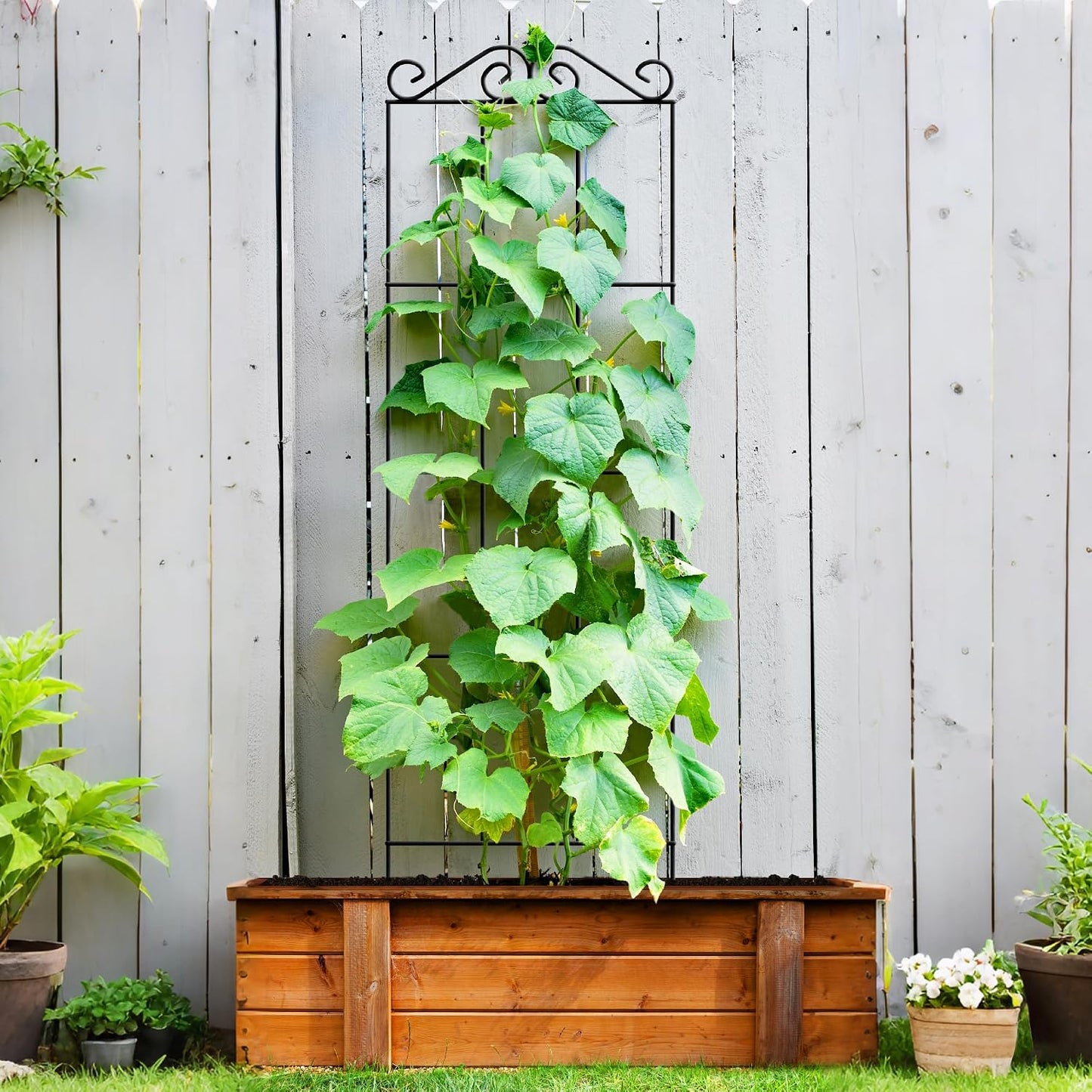 ARIFARO 4Pack 47'' Metal Garden Trellis for Climbing Plants Outdoor | Thicken Steel Trellis, For Indoor/Outdoor