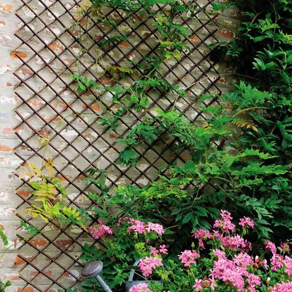Natural Lattice Willow Trellis Fence for Climbing Plants,Expandable Garden Fence Wall Panel, Outdoor Decorative Wood