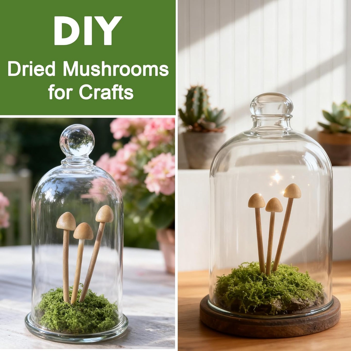 Mini Mushrooms for Crafts / Set of 16