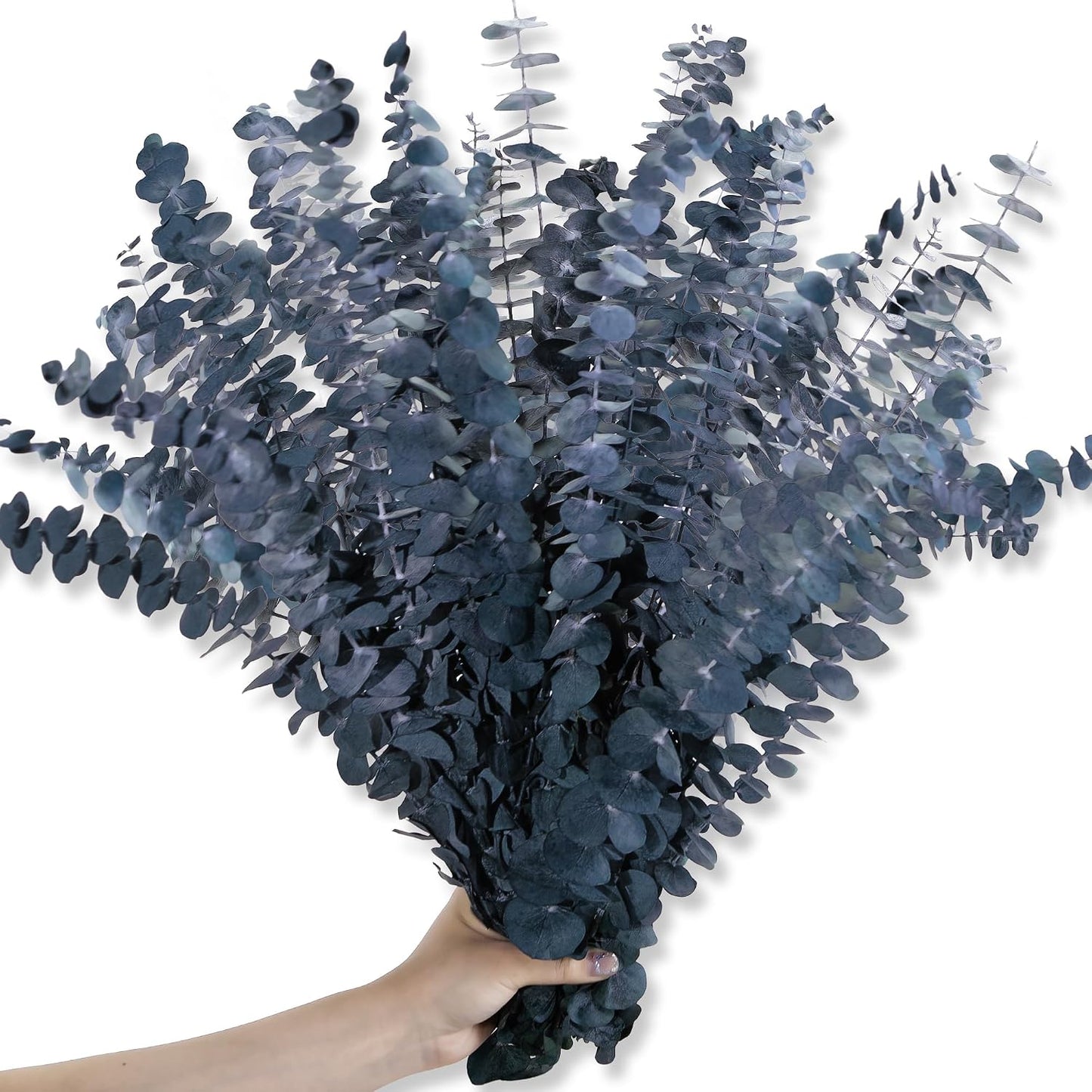 17" -Green Preserved Eucalyptus Stems for Vase / Blue / Set of 26