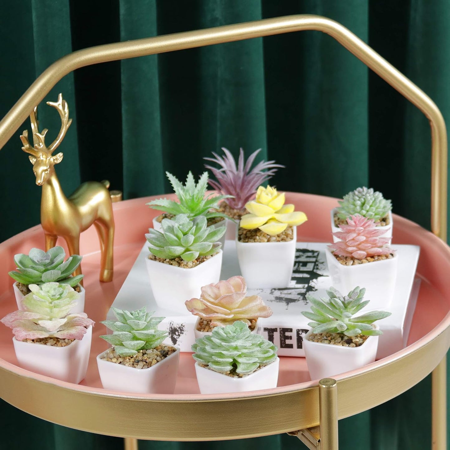 Artificial Faux Succulents in Pots Fake Plants Plastic Arrangement Planter Small Mini / White-12