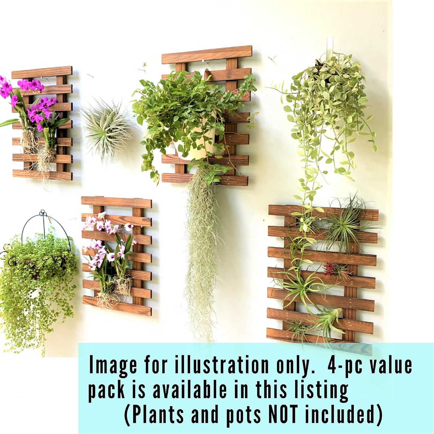 ShopLaLa Wall Planter for Climbing Plants Outdoor (150cm) Hanging Planters | Wooden Living Vertical Garden Outdoor