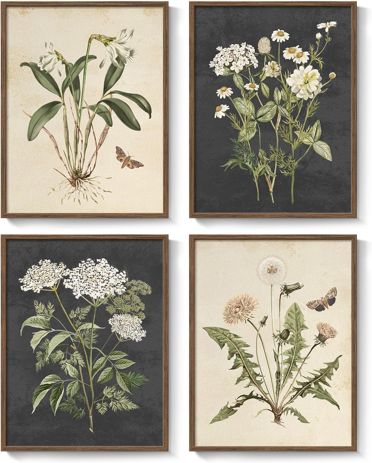 Neutral Flower / 11" W x 14" H x / Vintage - Walnut Framed / Set of 4