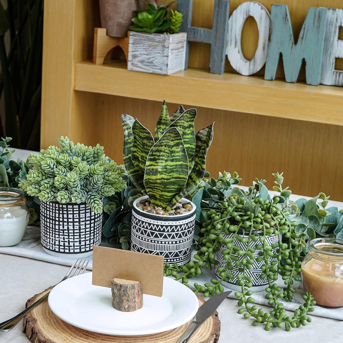 Small Potted Plants Artificial Succulents Hanging Plants and Faux Tropical Snake / Black / Set of 3