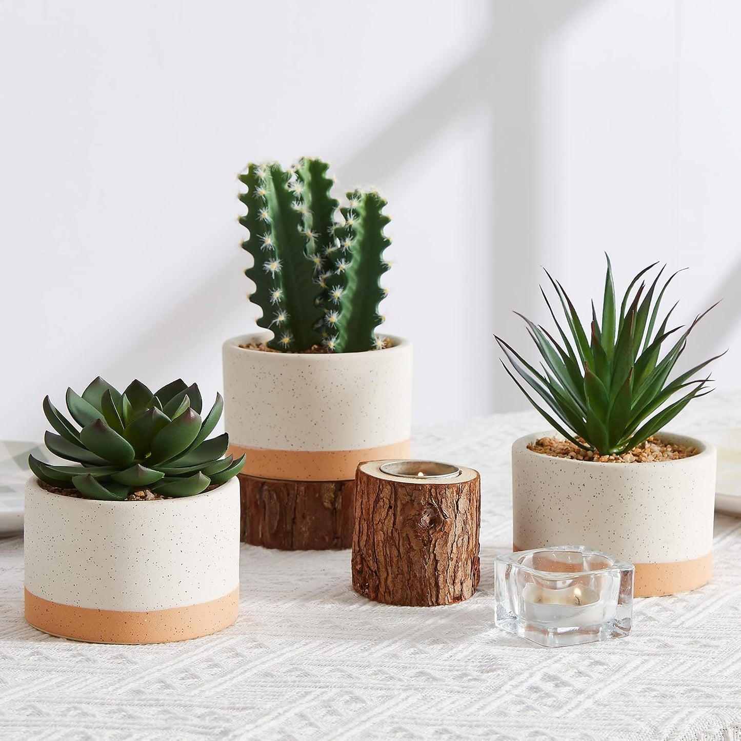 Artificial Succulent Plants in Ceramic Pots / Burlywood
