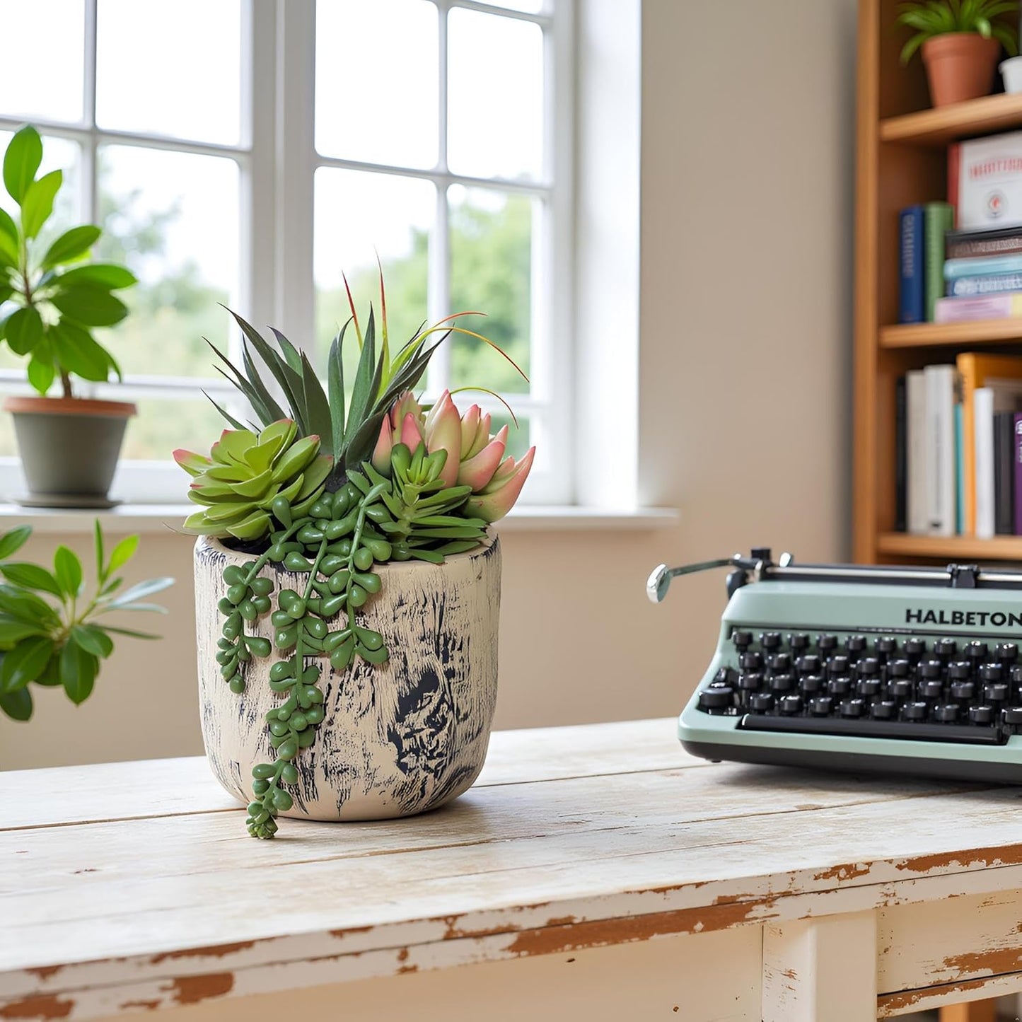 Succulents Plants Artificial / 7.9