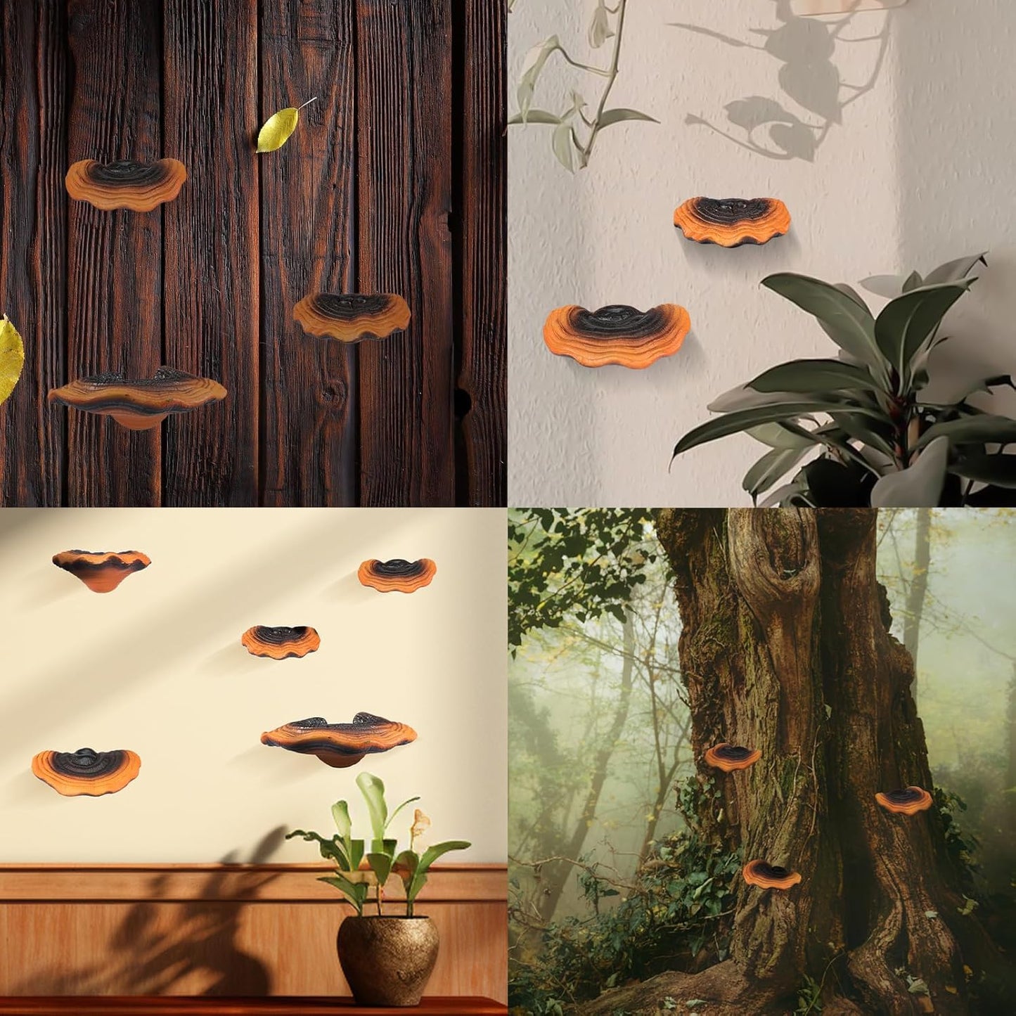 Mushroom Floating Shelves Reishi Shaped Mushroom Shelf Wall Decor Resin Mushroom Hanging / Set of 5