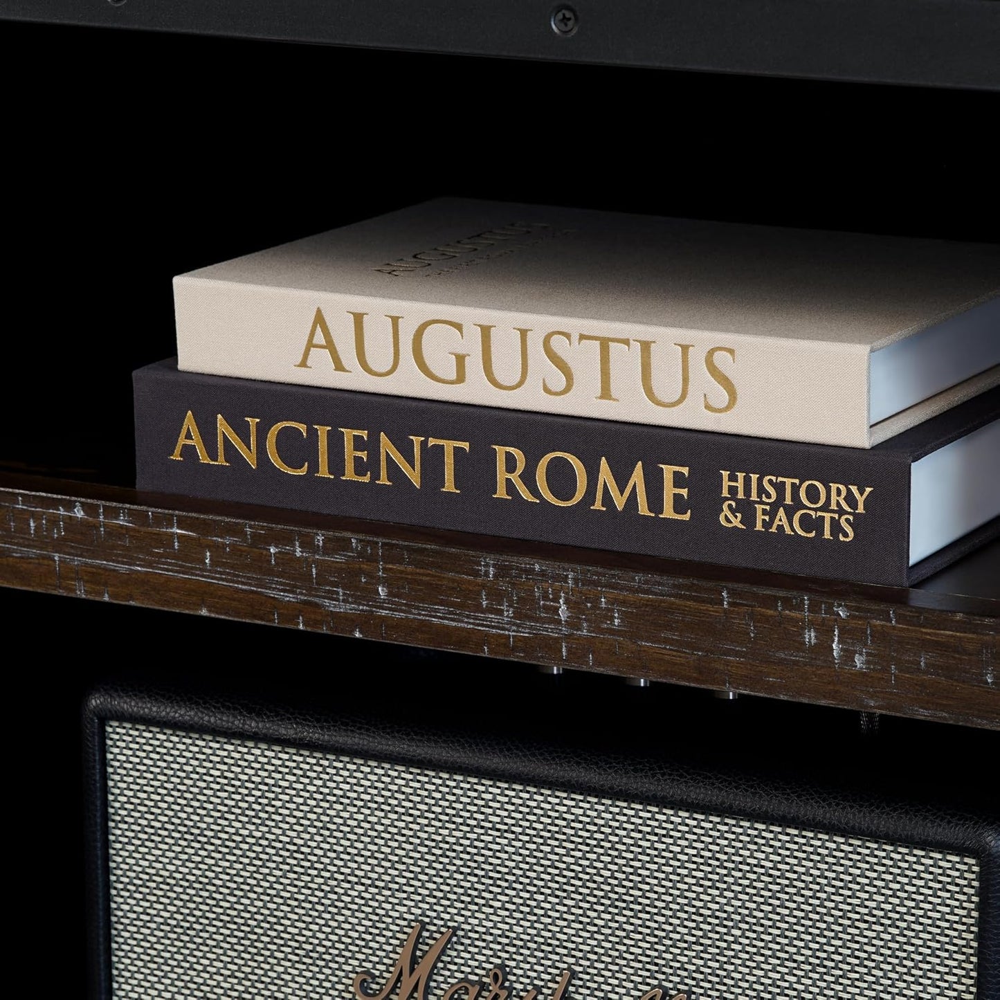 Faux Books for Decoration / Beige and Graphite / Set of 2