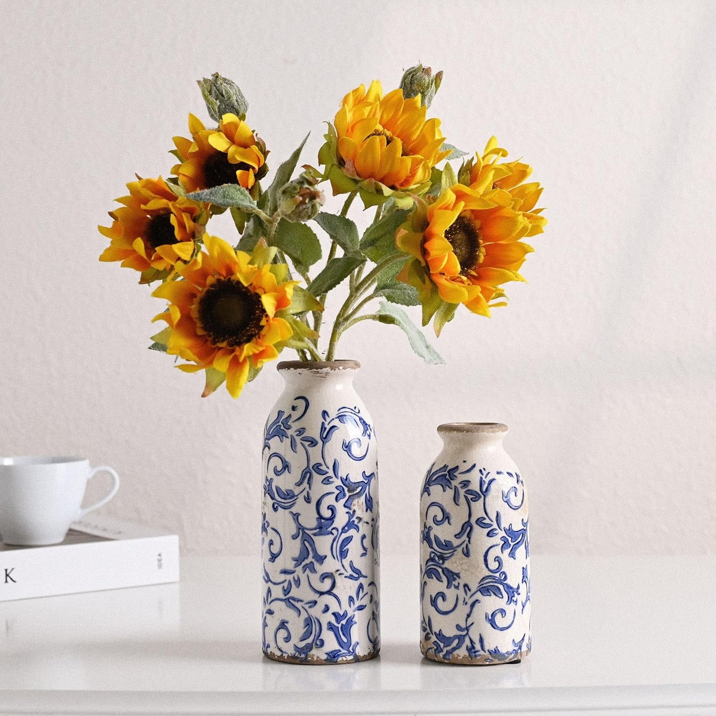 Ceramic Vases Home Decor / Blue and White / Set of 2