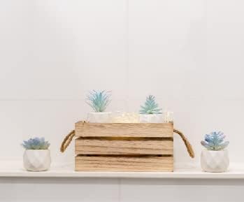 Mini Artificial Succulent in Pots Fake Plants / Blue / Ceramic