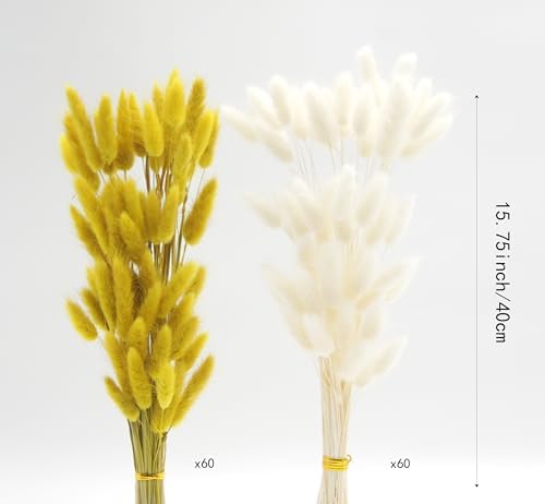 Dried Bunny Tails Flowers 120pcs Tail Dried Flowers Pampas Grass Natural Dried Floral Arrangement 17" for Christmas Halloween Boho Decor Home Wedding DIY Craft Decoration(White and Yellow)