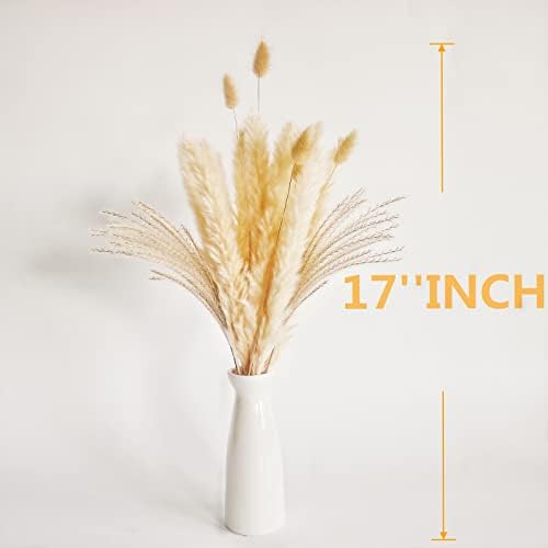 Natural Dried Pampas Grass Decor, Beige Pampas Grass, Bunny Tails Dried Flowers, Reed Grass Bouquet for Wedding Boho