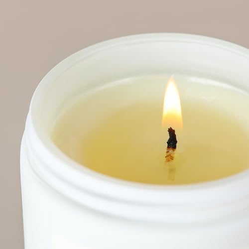 AOOVOO Candle - 9oz Soy Wax Candle, Lavender Scent - Thank You Gift for Women, Men, Mom, Coworkers, Nurse, Clients