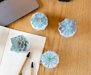 Mini Artificial Succulent in Pots Fake Plants / Blue / Ceramic