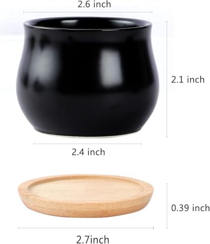 SHECIPIN 2 Pack Succulent Pots, 2.5 Inch Mini Ceramic Pots for Flower or Cactus Plants with Drainage Hole,Plants Not Included (Black)
