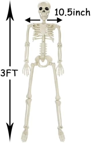 CAMIRUS 3FT Skeleton, 36" Full Body Skeleton with Movable Posable Joints, Realistic Plastic Bones Halloween Prop for Outdoor Haunted House Decorations