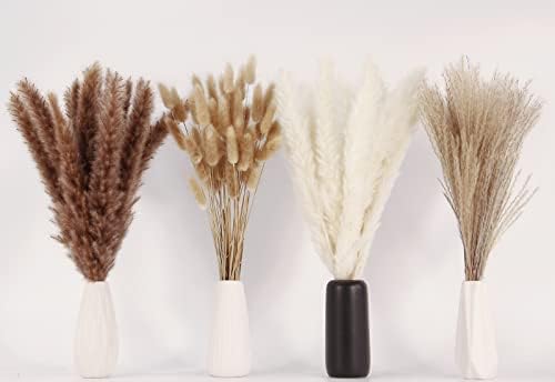 100 Stems Pampas Grass Contains Bunny Tails Dried Flowers / Set of 100