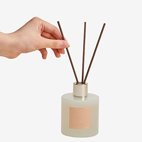 Cocorrína Premium Reed Diffuser Set with Preserved Baby's Breath & Cotton Stick Coconut Lime | 6.7oz Scent Fragrance