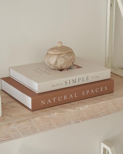 Decorative Books / Boxes Coffee Table / Set of 2