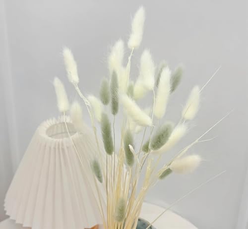 120pcs Dried Bunny Tails Flowers White and Grey Pampas Grass Natural Dried Floral Arrangement Dry Flowers for Christmas Halloween Boho Decor Home Wedding DIY Craft Decoration (16")