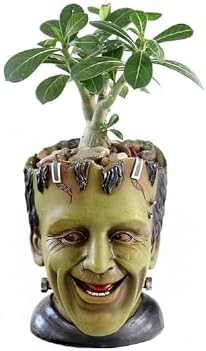 Funny Planters Head Planter for Indoor Plants, Succulent Pot with Drainage Hole Fairy Garden Resin Cactus Pencil Holder Desk Storage Gift for Women Men Plant Pot
