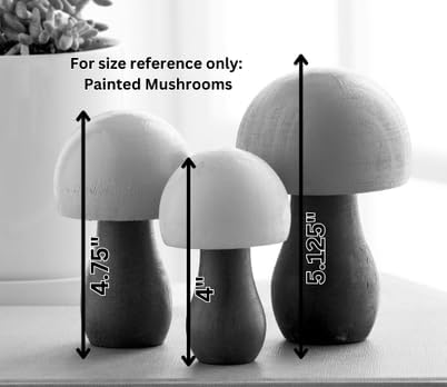 Charming Nature Inspired Gift / Black Gray 6 / Set of 6