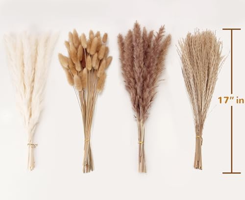 100 Stems Pampas Grass Contains Bunny Tails Dried Flowers / Set of 100