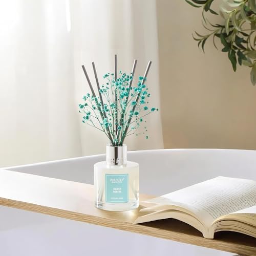 Airkeep Reed Diffuser Set,3.38 fl oz (100 ml) - Ocean Breeze Oil Diffusers with 8 Reed Sticks, Home Fragrance Reed