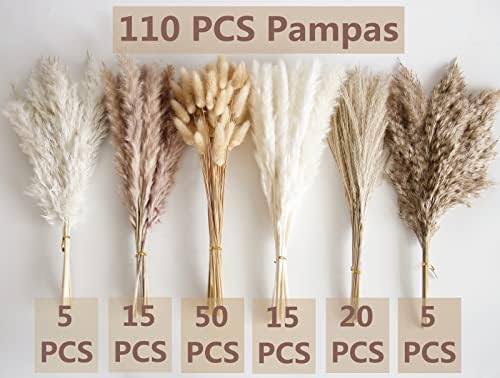 Bunny Tails Dried Flowers / Pampas Grass / Brown / Set of 110