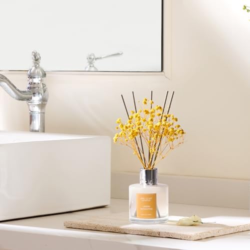 Airkeep Reed Diffuser Set,3.38 fl oz (100 ml) - Lemon Eucalyptus Oil Diffusers with 8 Reed Sticks, Home Fragrance Reed
