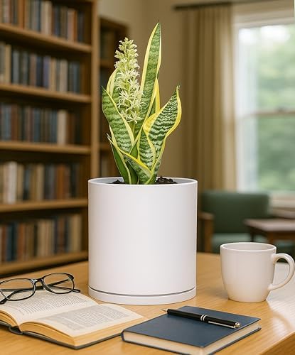 D'vine Dev Double-Layer Self-Draining Planter Set – Rotating Plastic Outer Pot with Clear Inner Liner for Root Health, Perfect for Indoor Plants, 6.5", Set of 2, White, 73-V-A-2