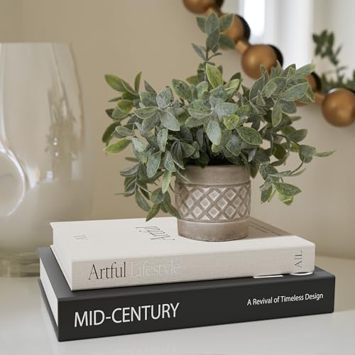 Aesthetic Decorative Books / Black-beige / Set of 2