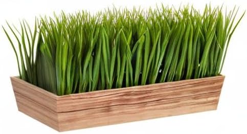 . Vanilla Grass Artificial Plant in Decorative Planter / 20 Inch