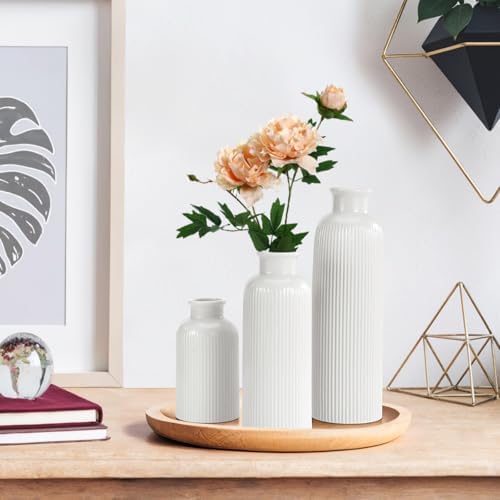 Small Ceramic Vase / White / Set of 3